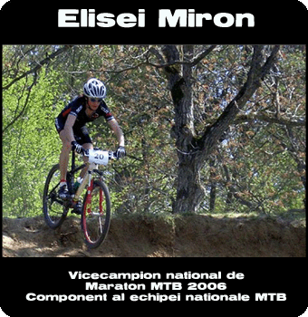 spre pagina personală a lui Elisei Miron